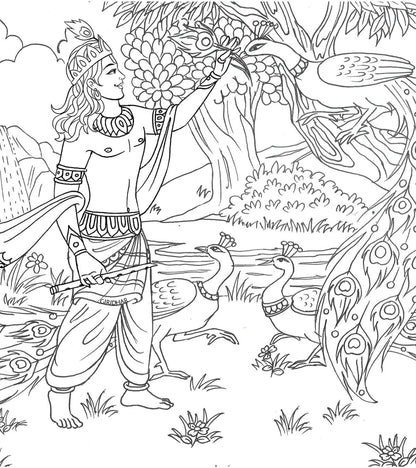 Lord Krishna Colouring Book, The Playful Divine